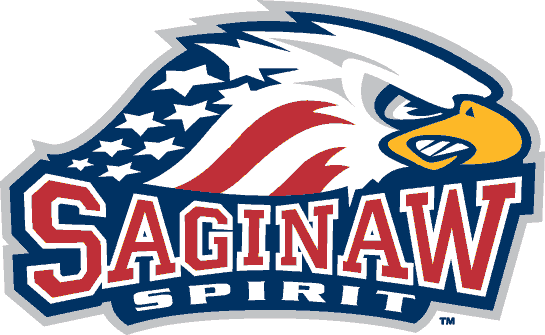Saginaw Spirit 2002-pres primary logo iron on heat transfer...